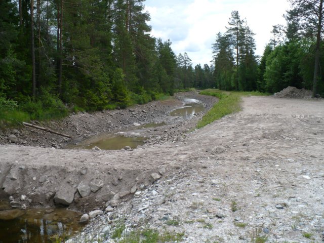 zweden200867.jpg